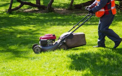 Top 5 Indicators You Need Expert Allen Lawn Service ASAP!