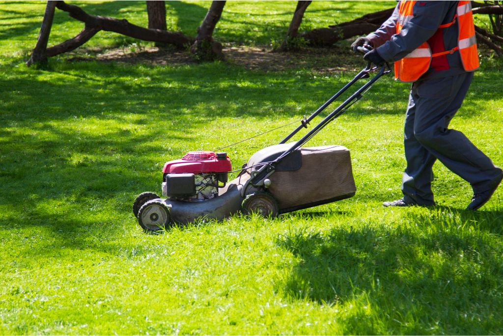 Top 5 Indicators You Need Expert Allen Lawn Service ASAP!