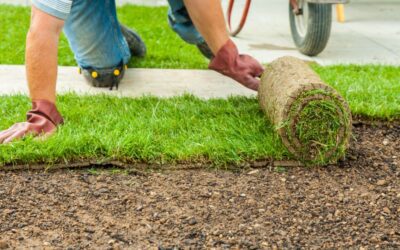 What Are the Top 10 Mistakes to Avoid with Sod Installation in Allen? Learn From Others’ Costly Errors!