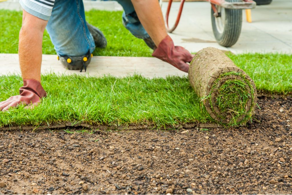 What Are the Top 10 Mistakes to Avoid with Sod Installation in Allen Learn From Others' Costly Errors!