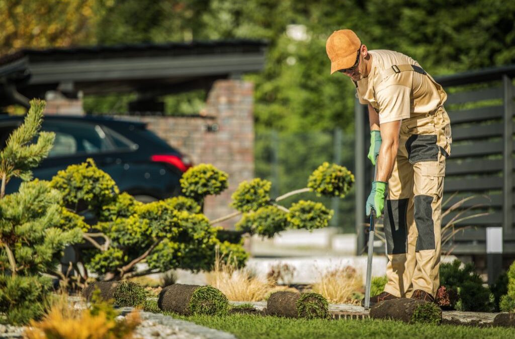 10 Insider Tips: What the Best Frisco Landscape Companies Recommend for Your Garden