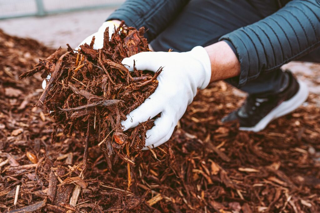 Lawn mulch - My Neighbor services is a Gardener's Best Friend