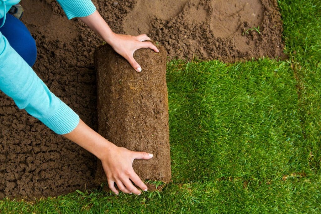 Amazing Benefits I Gained by Using a Sod Removal Service Near Me - My Neighbor Services