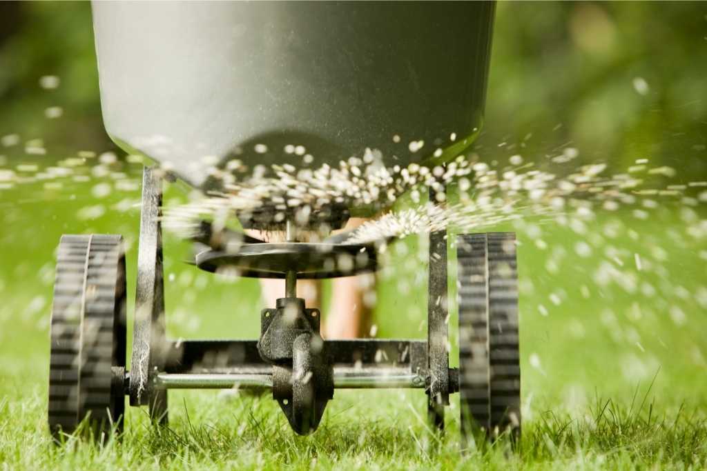 Top Scott Fertilizers for a Thriving, Healthy Garden You Should Not Miss!