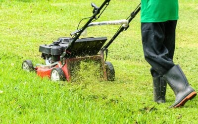 5 Unexpected Ways On Demand Lawn Mowing Service Is Revolutionizing Modern Lawn Care