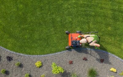 7 Shocking Truths About DIY vs. Professional Residential Landscape Maintenance Services – My Neighbor Services