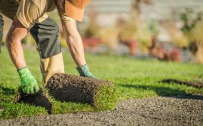 How Can Residential Sod Installation Allen TX Transform Your Lawn in Just Days?