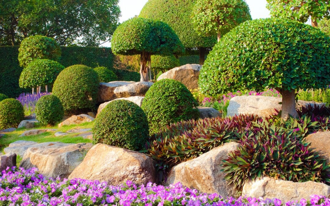 When to Plant Bushes: 10 Expert-Approved Shrub Planting Tips for Success