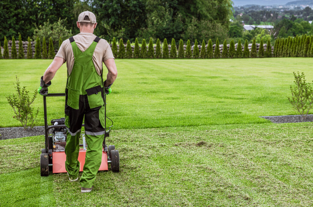 10 Extraordinary Benefits of Full Service Lawn Care You Need to Know Now