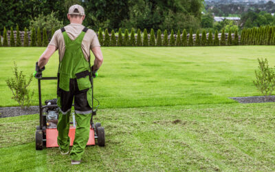 10 Extraordinary Benefits of Full Service Lawn Care You Need to Know Now