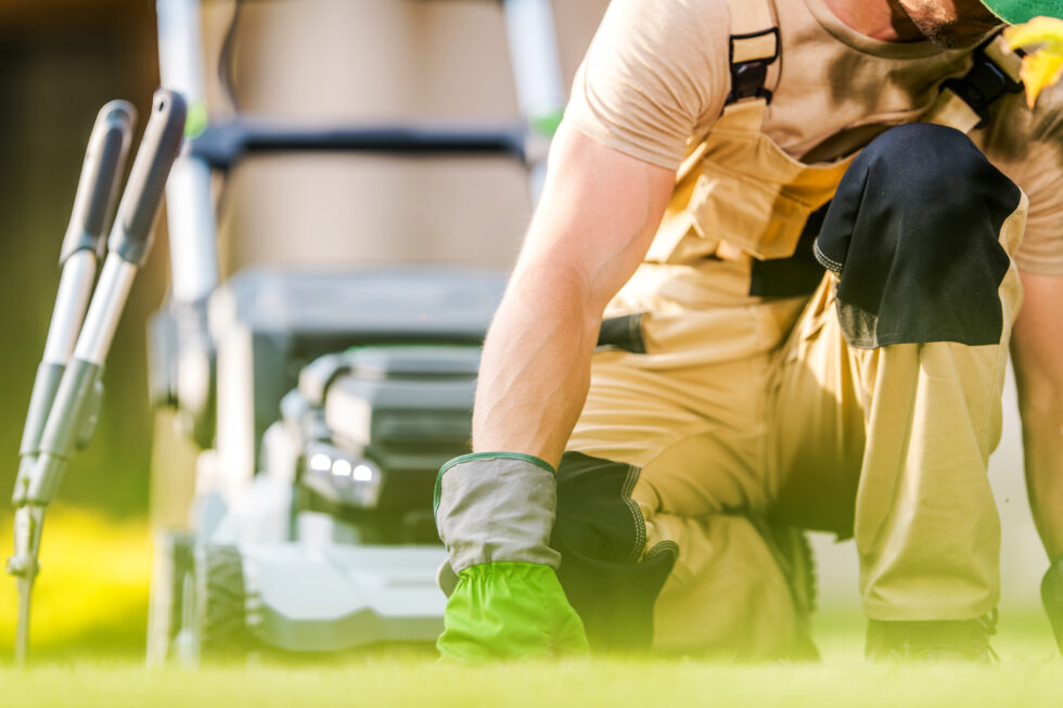 West Columbia Lawn Care Services | Weed Control, Fertilization ...