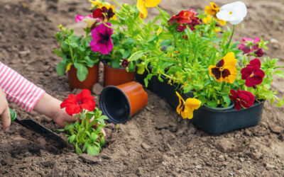 Flower Beds For Beginners: 7 Best Foolproof Planting Tips for a Thriving Flower Bed