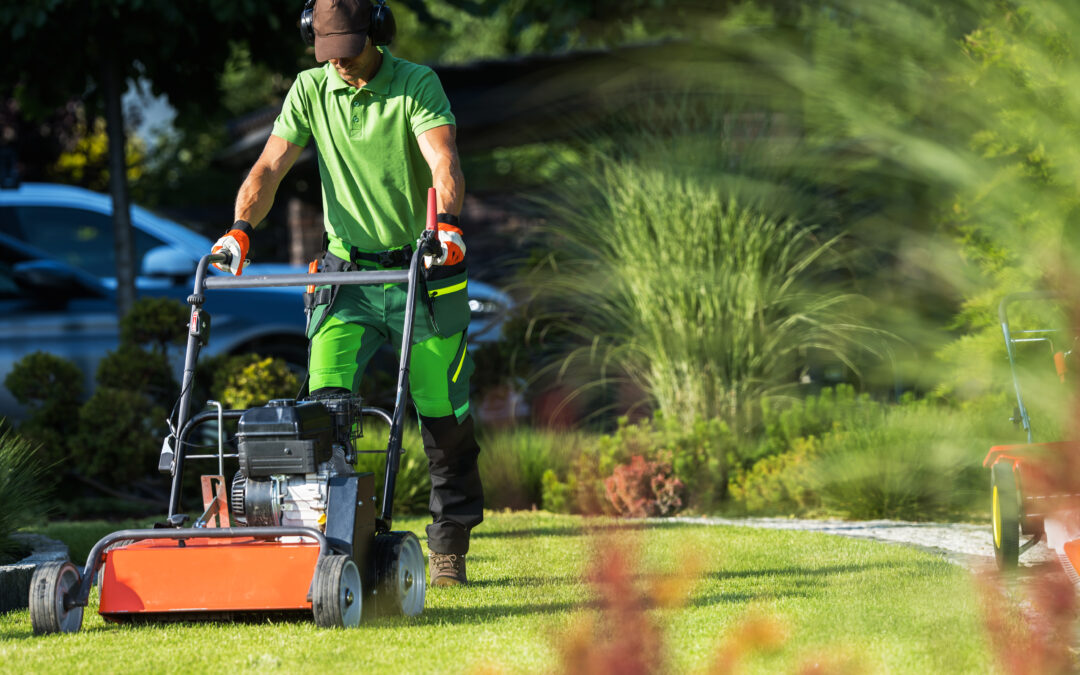 Why Lawn Care and Maintenance Services Are a Homeowner’s Best Lawn Investment in 2025