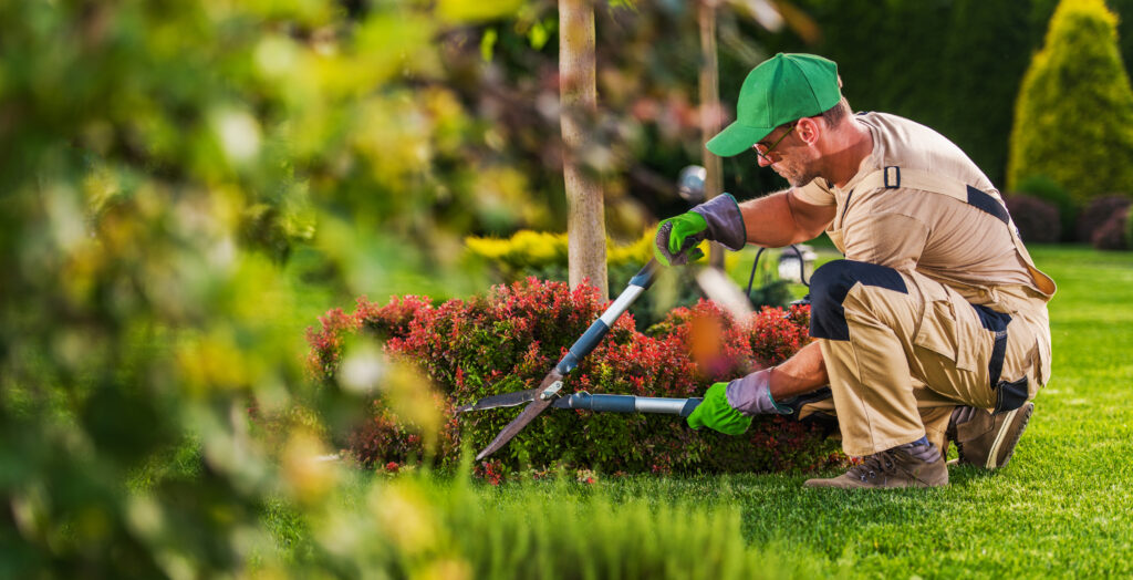 Professional Lawn Care: Why Pro Lawn Services Is the Secret to a Gorgeous Lawn in Every Season