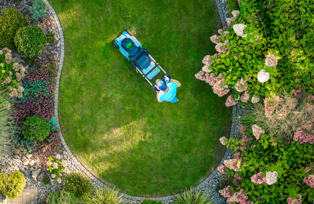 6-Week Expert Guide to Lawn Care: How To Achieve a Lush Lawn Fast