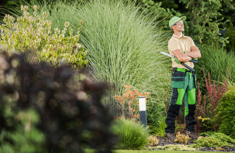 Curated visual reference: Gallery Detail: Best Commercial Landscape Maintenance