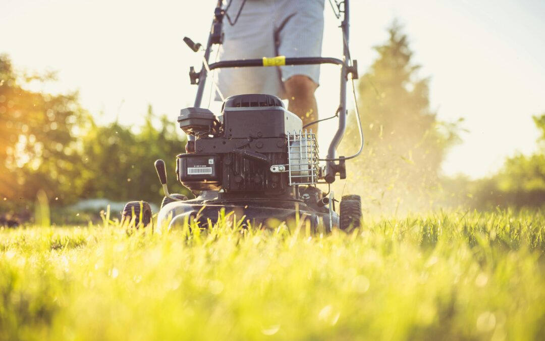 Lawn Mowing Service Allen TX: Reliable Care for Your Lawn
