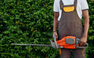 Reliable Tree Trimming Services in Richardson, TX