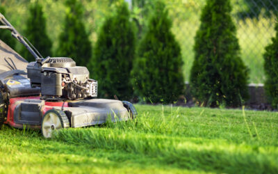 8 Instant Improvements You Can Expect from Same Day Yard Service – My Neighbor Services