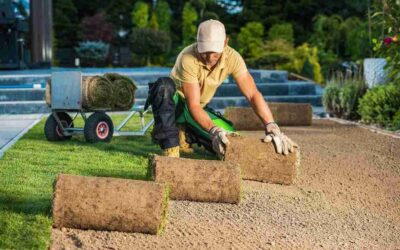 Sod Installation Plano TX for a Lush Green Lawn in 2025