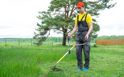 7 Vital Reasons Why I Always Use Weed Wacker Service Near Me
