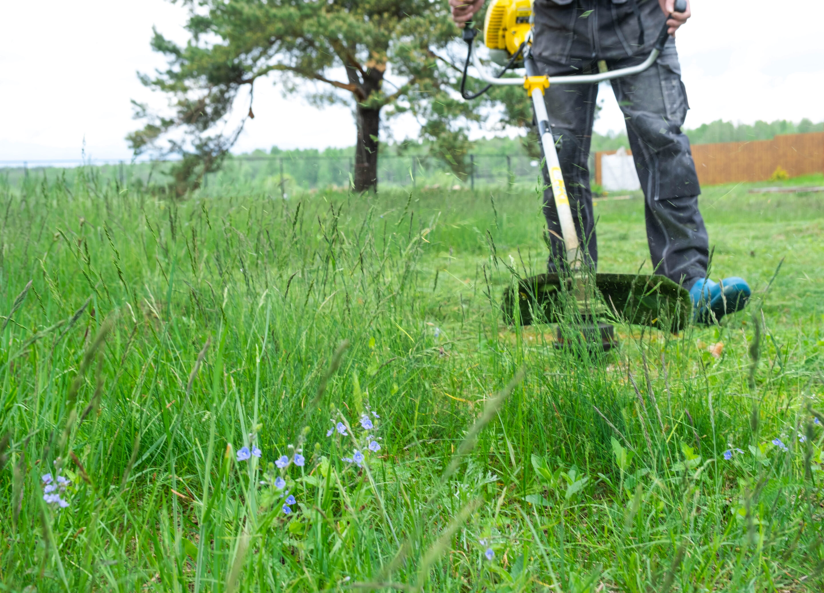 Weed Whack Before or After Mowing