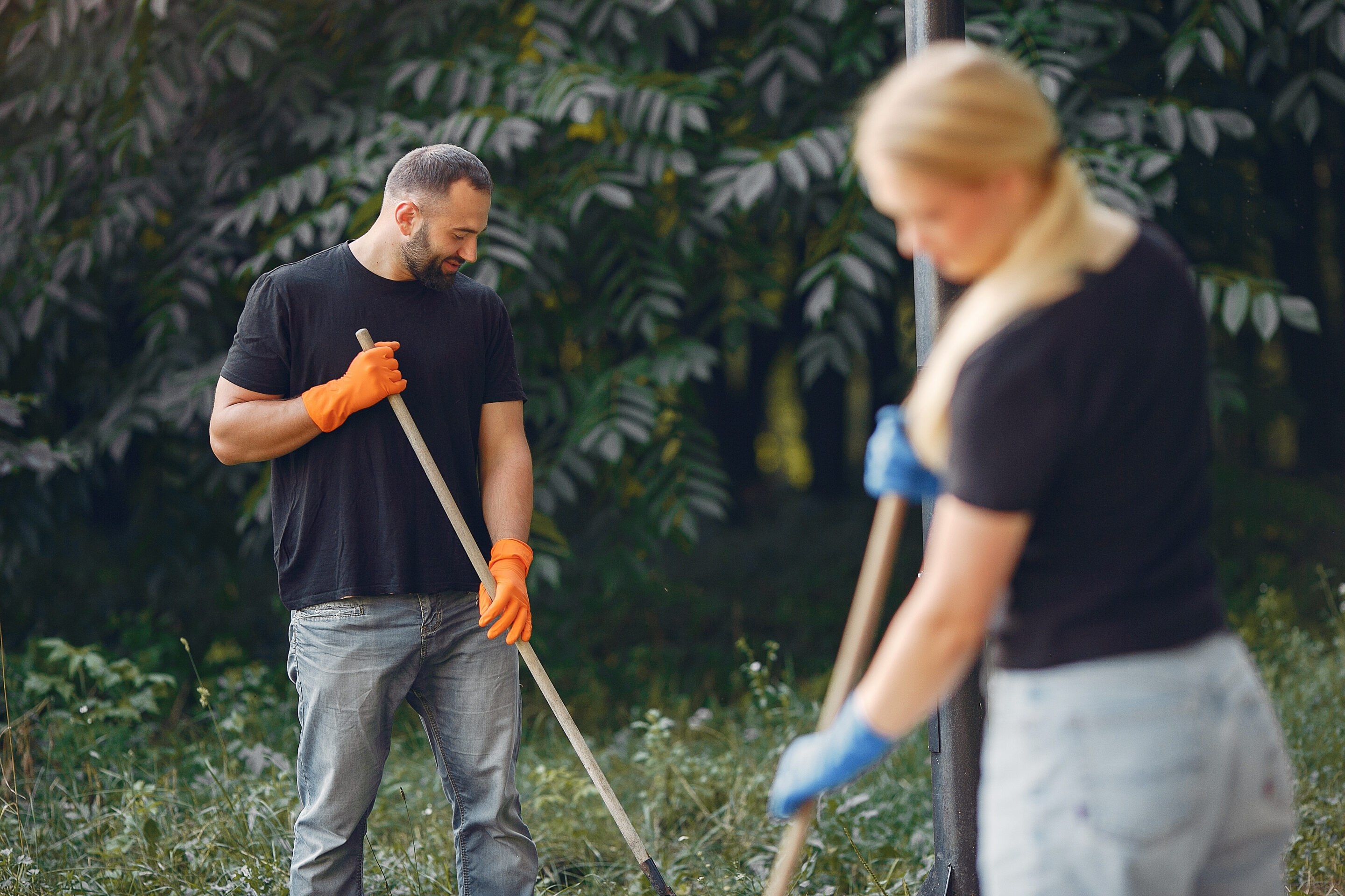 Yard cleanup with debris cleared from beds and lawn