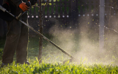 Top 10 Yard Cutting Techniques to Prevent Grass Damage and Create a Stunning Lawn