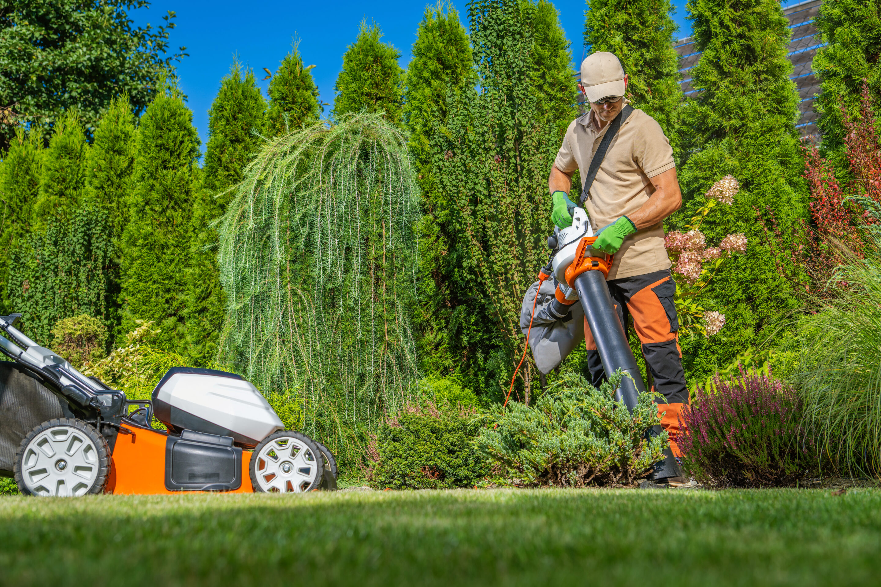 Maintained residential yard after service visit