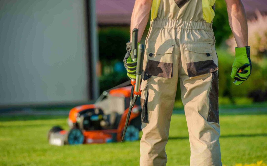 How Does Commercial Lawn Care Allen TX Boost ROI?