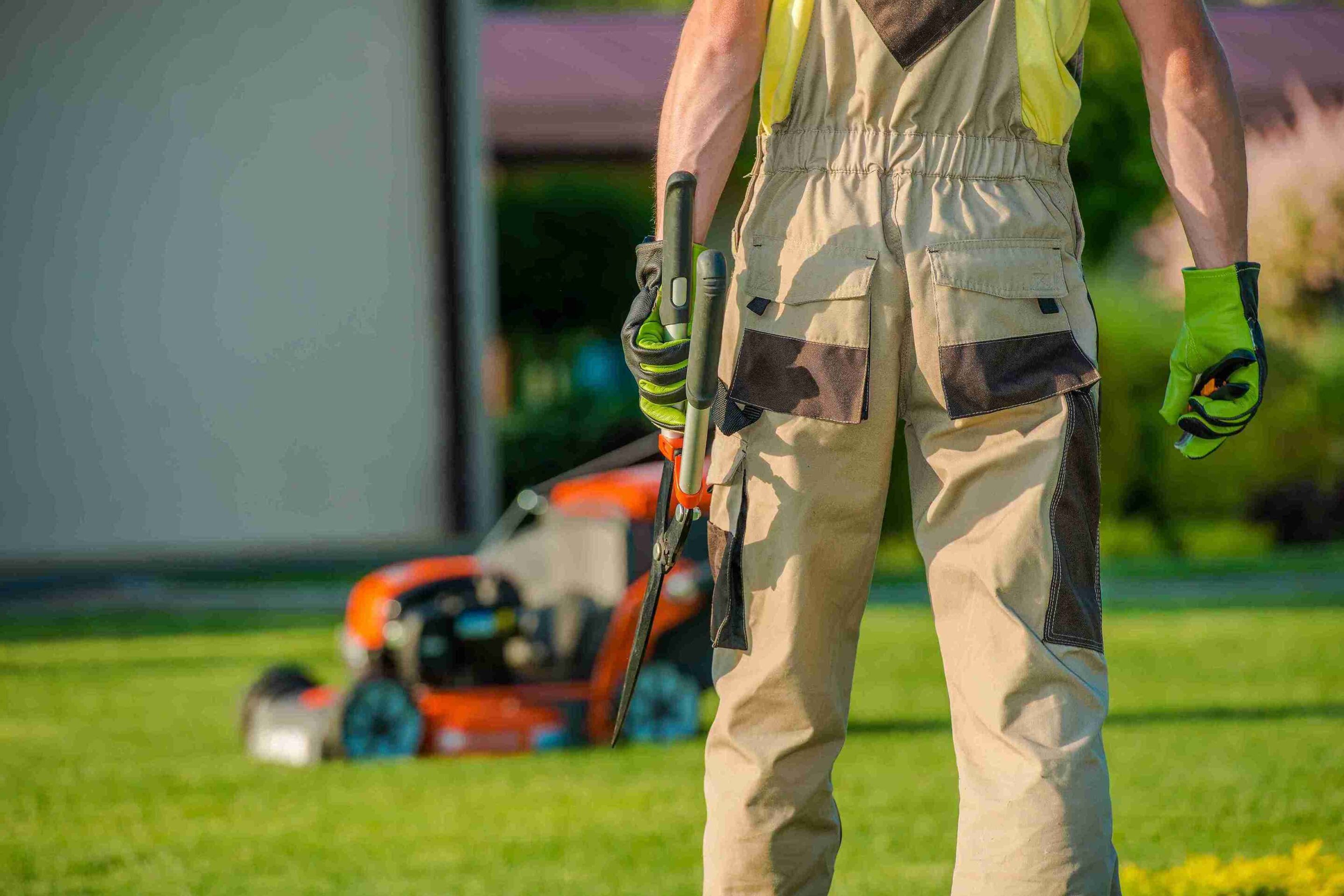 Commercial lawn care Allen TX