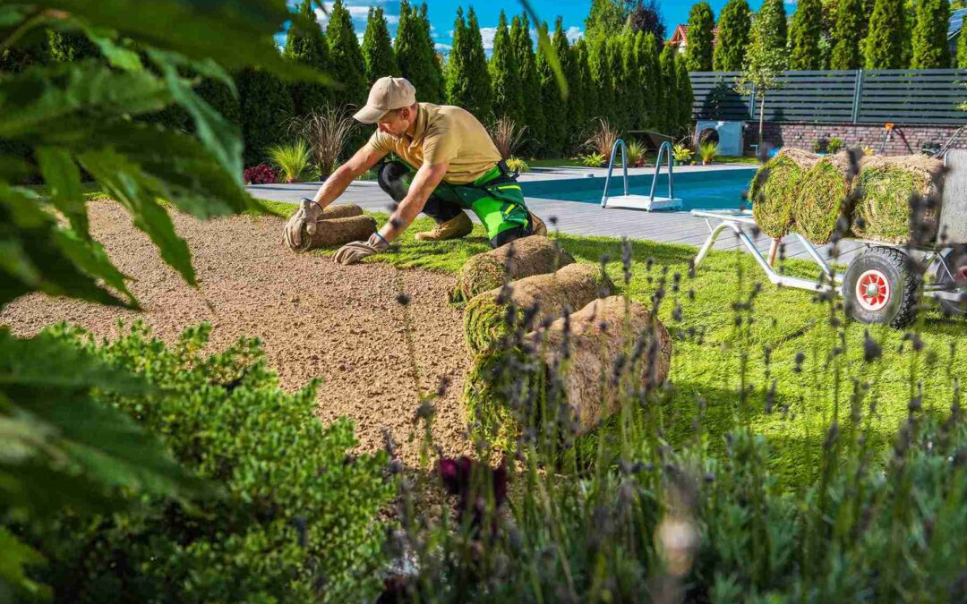 How Do Lucas Landscaping Services Boost Your Curb Appeal?