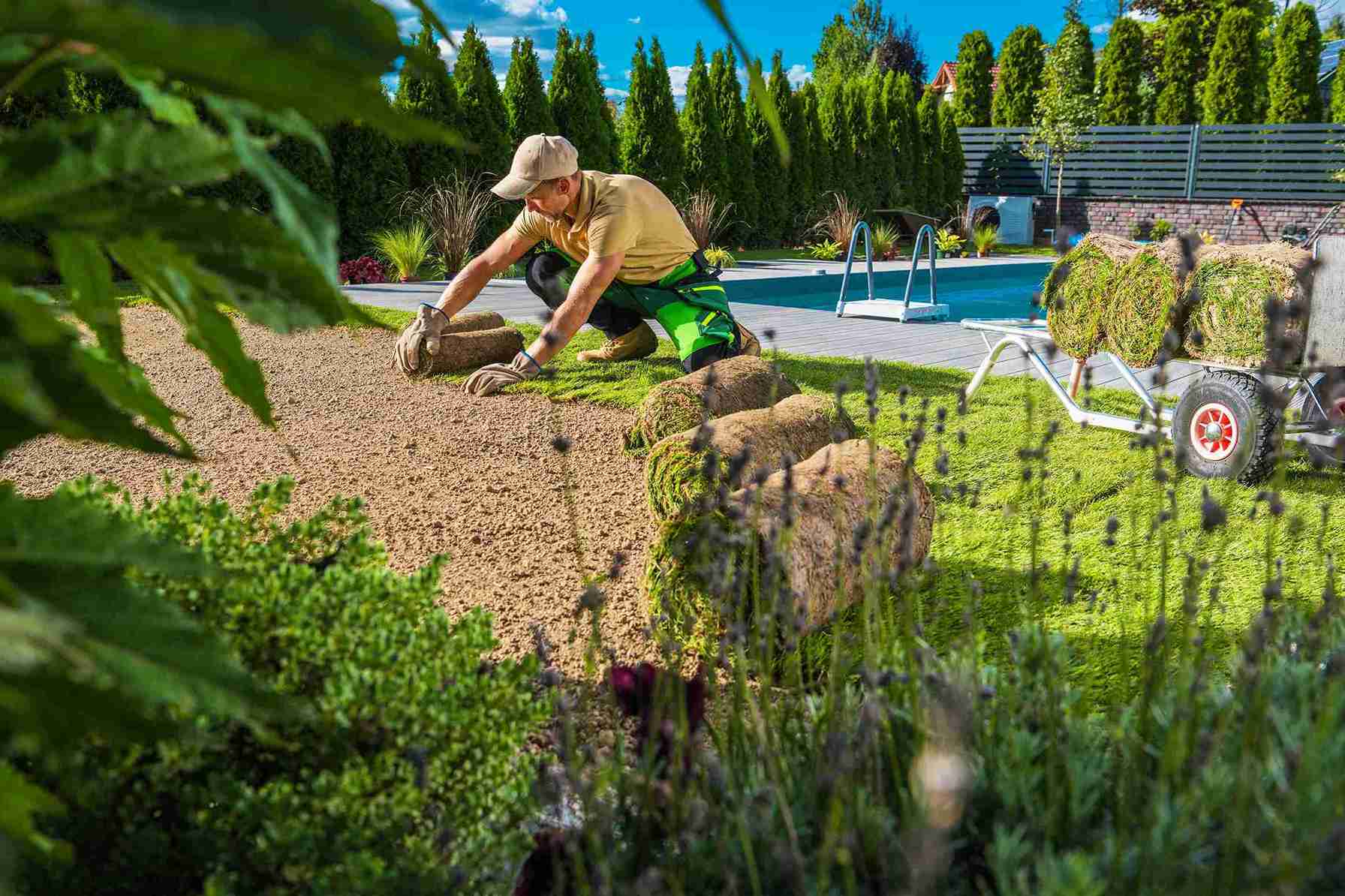 Lucas landscaping services