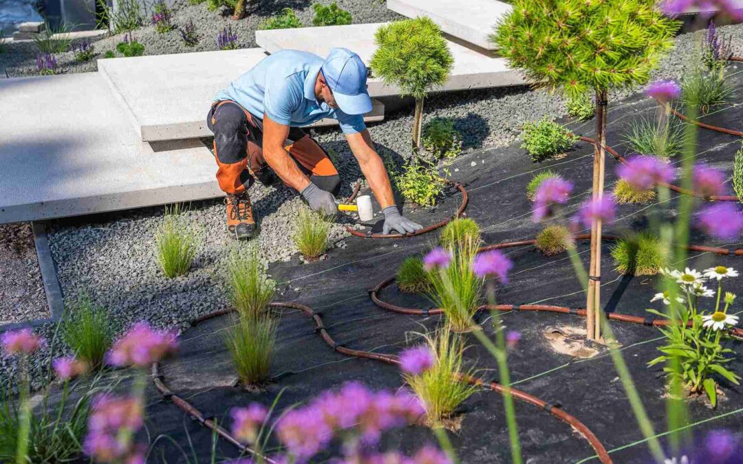 How Does Landscaping Allen Use 7 Steps for Perfect Yards?