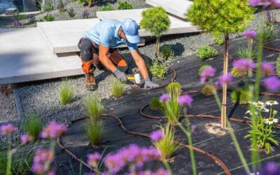 How Does Landscaping Allen Use 7 Steps for Perfect Yards?