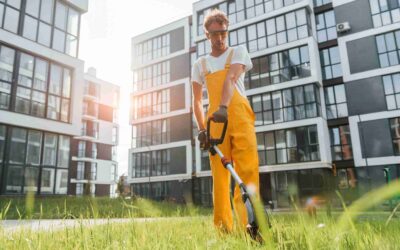 Best Commercial Lawn Care Wylie TX: 10 Ways to Boost Your Business Appeal