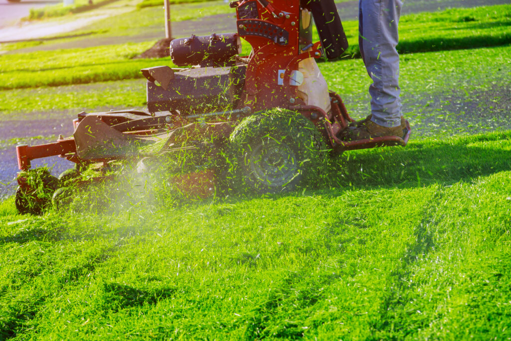 lucas lawn and landscaping