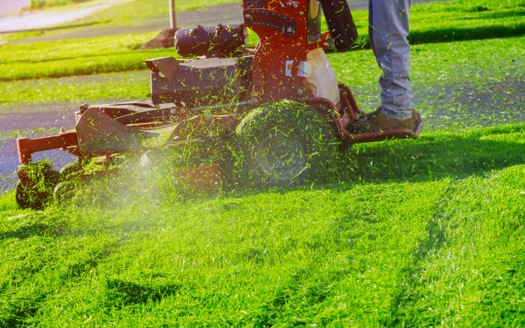 Lawn Care Lucas TX: 7 Pest Control Secrets for a Greener Yard