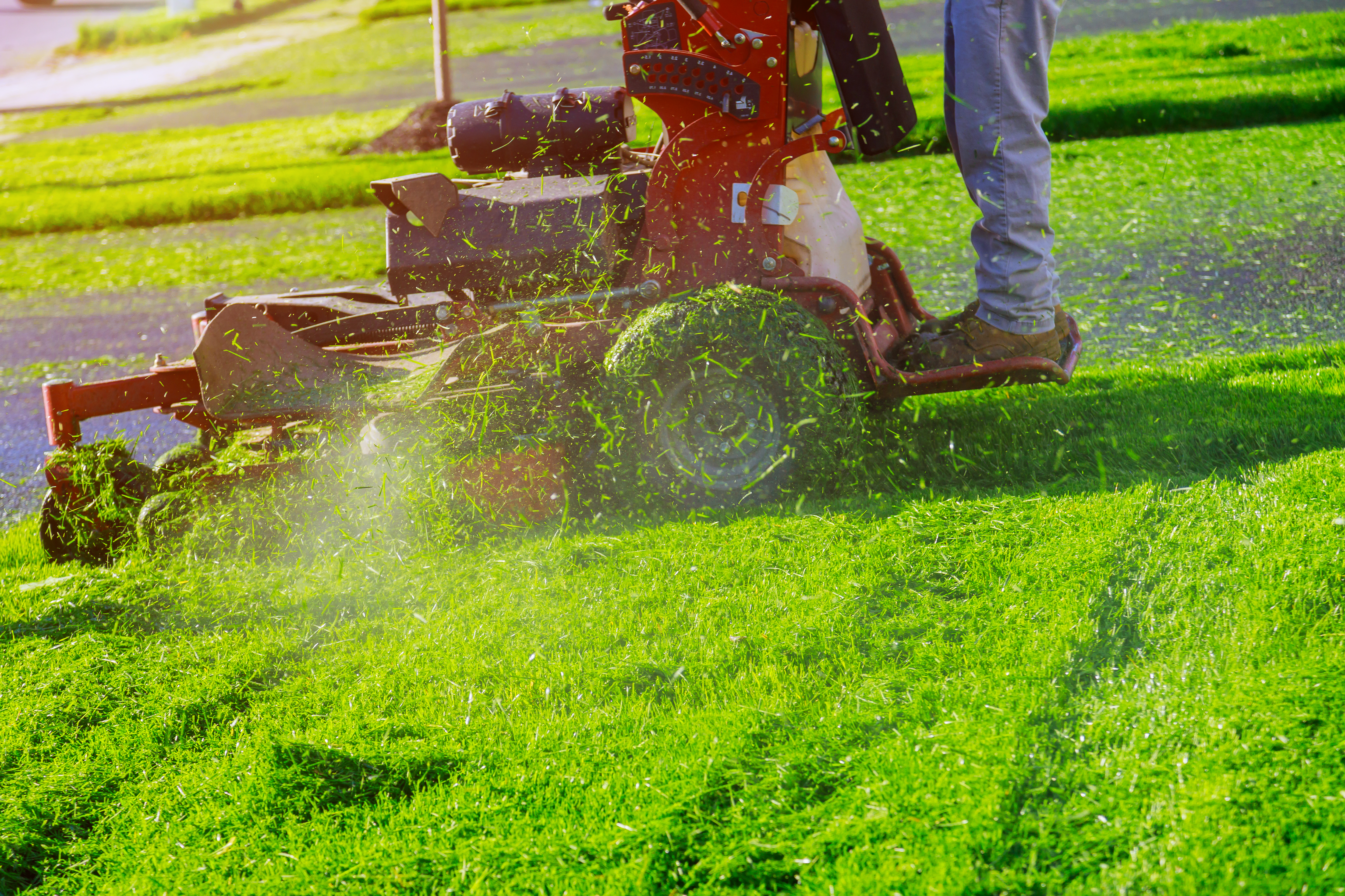 lucas lawn and landscaping, lawn care Lucas TX