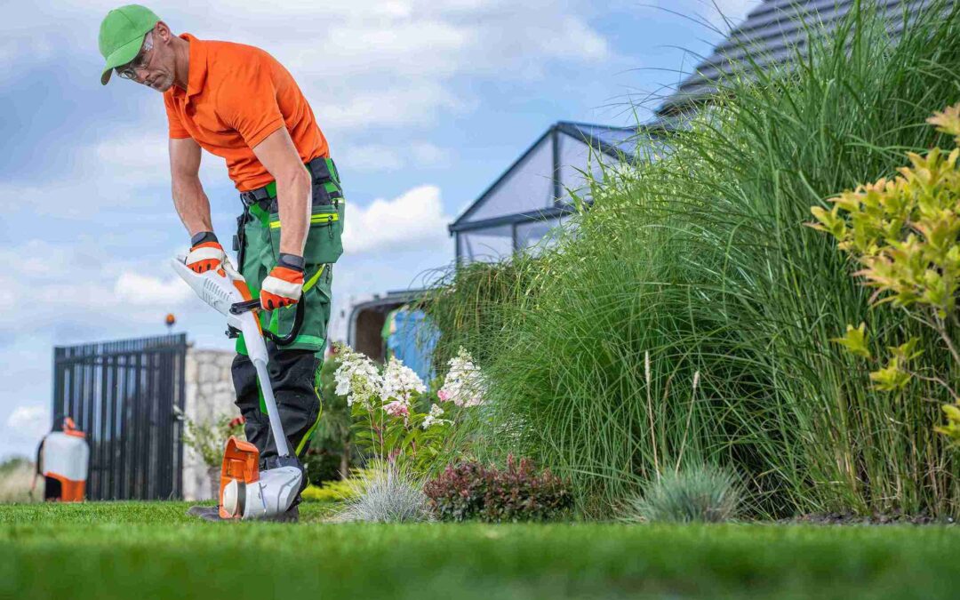How to Choose the Best Commercial Lawn Care Parker TX Service