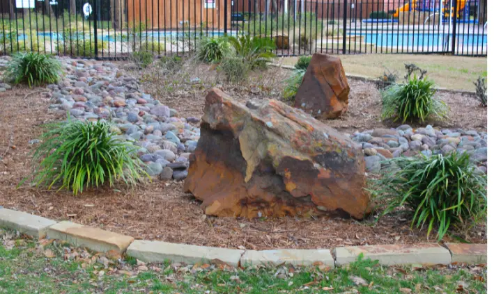 Things To Consider Before Choosing A Hedge Trimmer For Your Garden