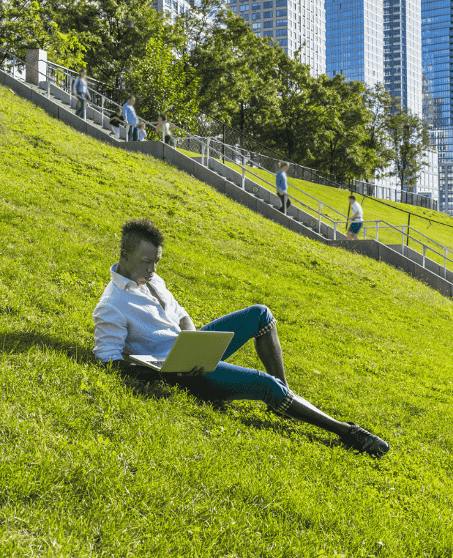 Commercial outdoor turf