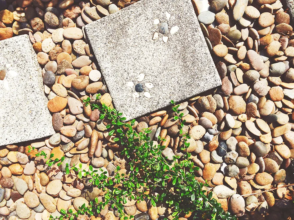 Pea-Gravel-image-2 Things To Consider Before Choosing A Hedge Trimmer For Your Garden