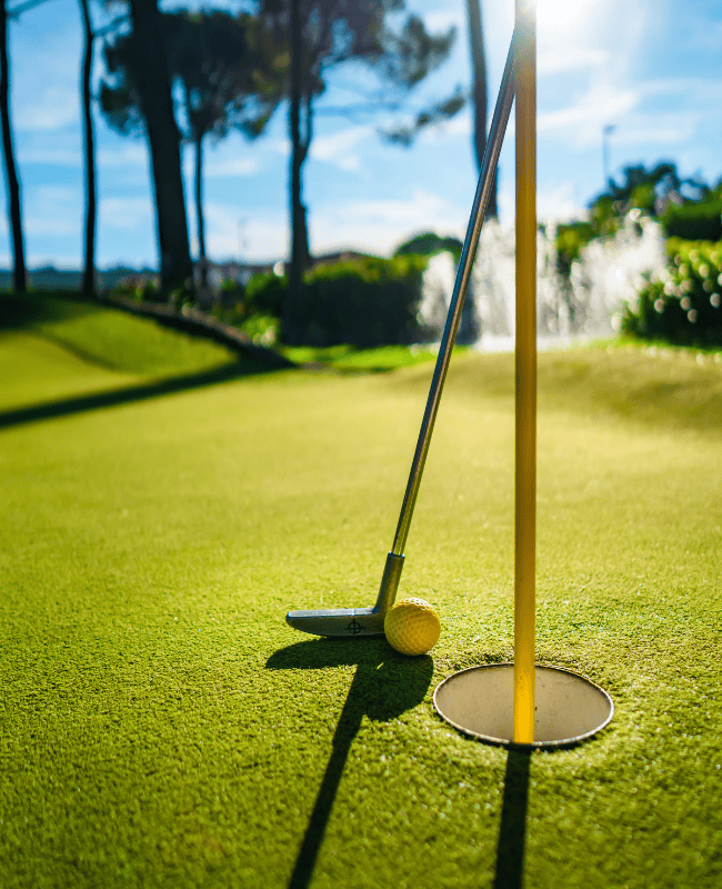 golf putting turf