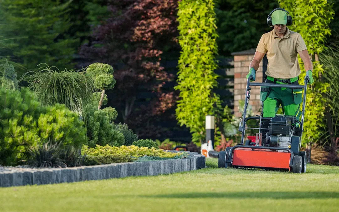 How to Choose a Commercial Lawn Maintenance Provider That Protects Your Property Value