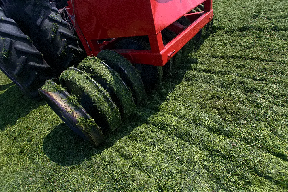 tractor-harvesting-hay-for-animals-tractor-harves-2025-03-18-19-18-47-utc (1) Texas Tree Services