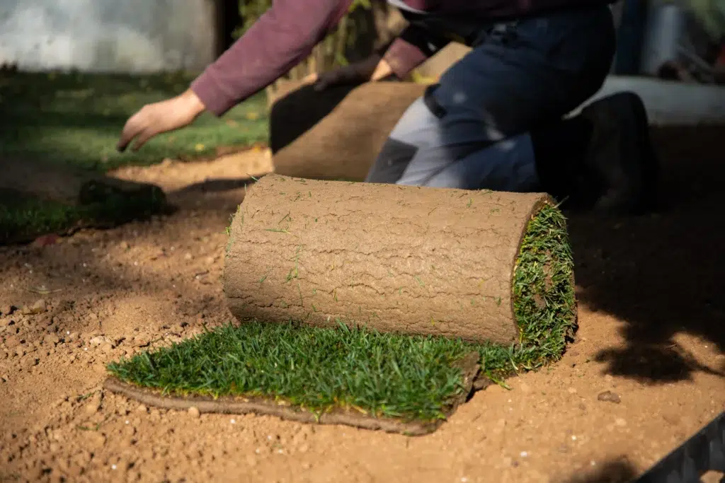 What types of turf products does Turf Allen offer? | 2025