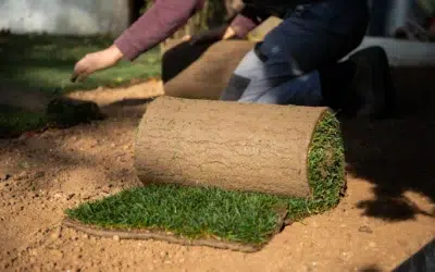 What types of turf products does Turf Allen offer What Types of Turf Products Does Turf Allen Offer? (Your Guide to the Best Artificial Grass Solutions)