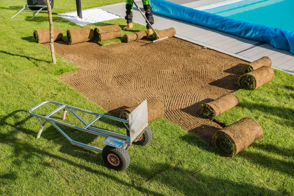 fresh natural grass turfs replacement in a backyar 2025 02 11 17 55 33 utc How to Choose a Commercial Sod Installation Provider for Large Projects 2025