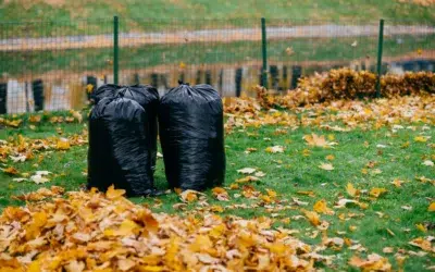 How to book a leaf removal service for a large property How to Book a Leaf Removal Service for a Large Property?